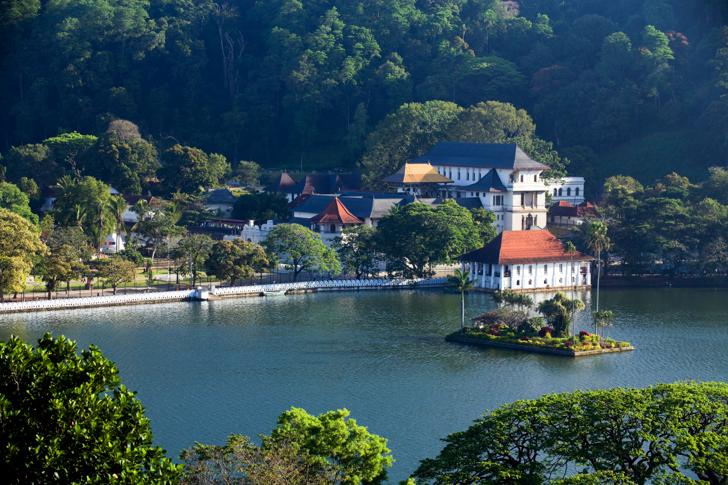 kandy (3).webp